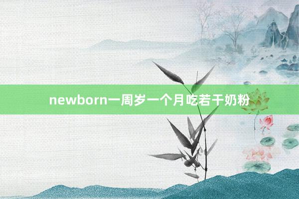 newborn一周岁一个月吃若干奶粉